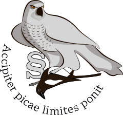 accipiter picae limites ponit
