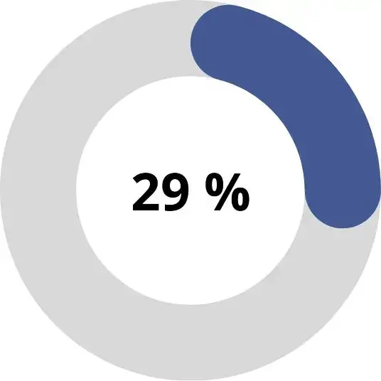 Steuer sparen auf GmbH Ebene - Kreisdiagram das 29% auf GmbH Ebene zeigt