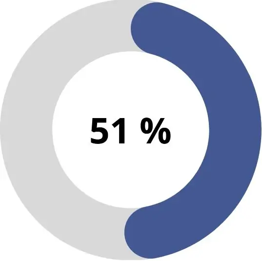 Steuer sparen auf privater Ebene - Kreisdiagram das 51% auf privater Ebene zeigt