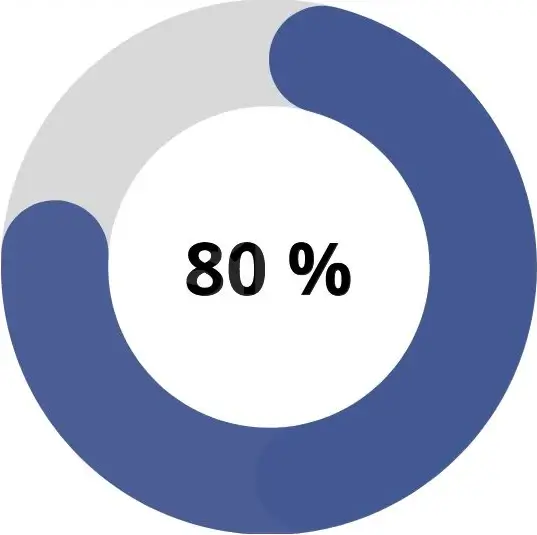Kreisdiagram das 81% des Kaufpreises zeigt
